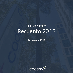 Informe Recuento 2018