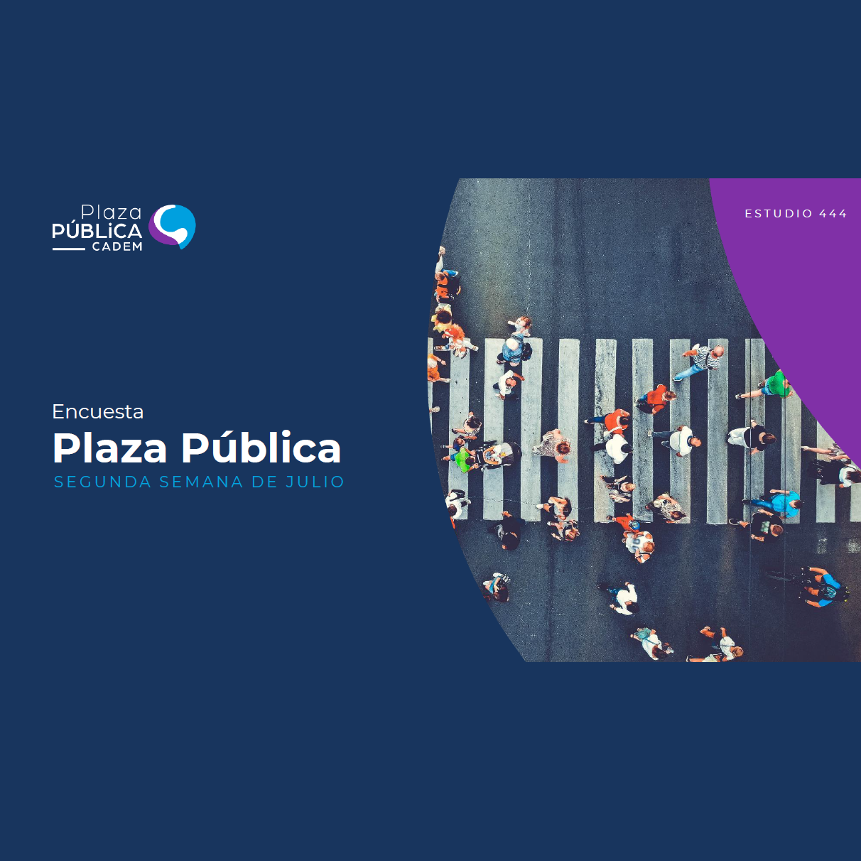 Estudio: Plaza pública Cadem – Segunda semana de julio