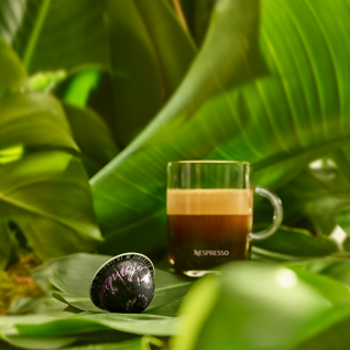 Imagen de la Nota: Nespresso presenta “Reviving Origins Esperanza de Colombia”, un café que representa una increíble historia de superación